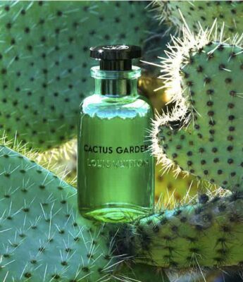 NUOC HOA LV Cactus Garden unisex NHLV6