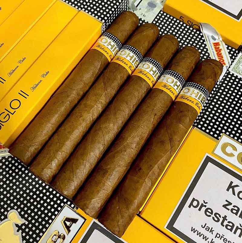 Xì gà Cohiba Siglo II 5 điếu xì gà dành cho người mới bát đầu 