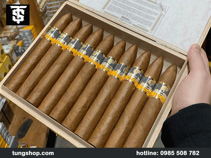 Xì gà Cohiba Piramides Extra hộp 10 điếu