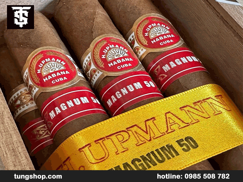 Cigar H.Upmann cao cấp