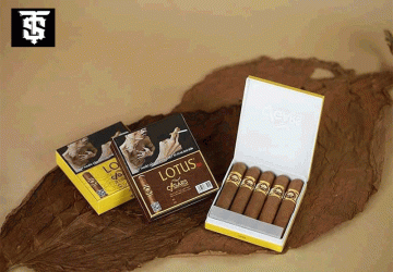 Cách hút xì gà Lotus cho người mới