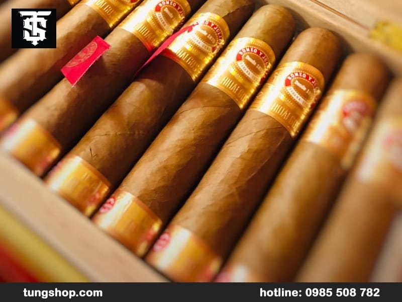 Romeo y Julieta nên mua dòng nào? Đâu là lựa chọn phù hợp